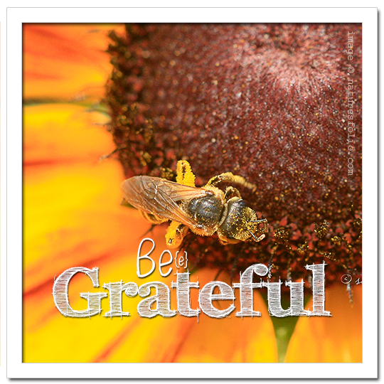 Be{e} Grateful!
