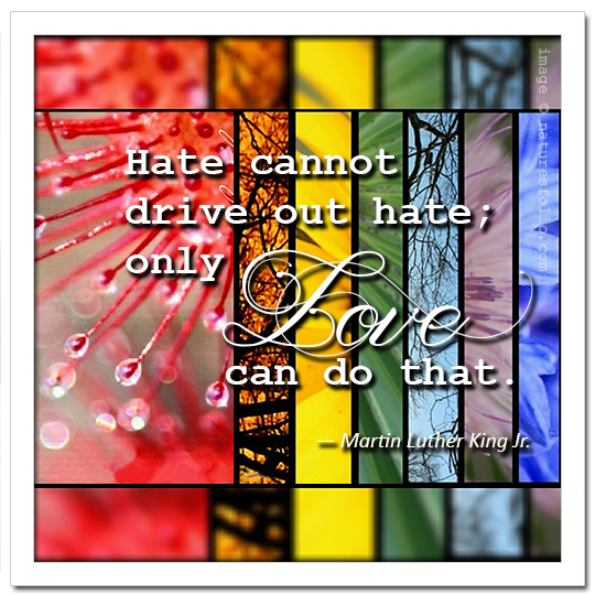 Hate Cannot Drive Out Hate Quote