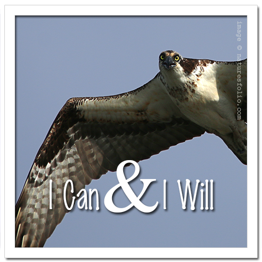 I Can & I Will!