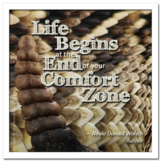 Comfort Zone Quote