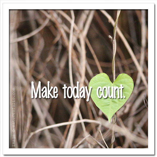 Make Today Count!