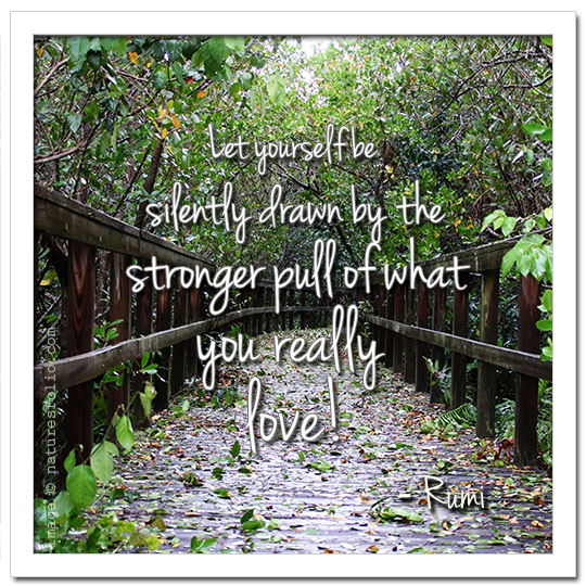 Let yourself be silently drawn by the stronger pull of what you really love! -- Rumi Quote