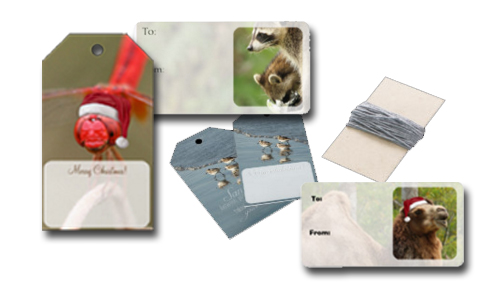 Nature Gift Tags