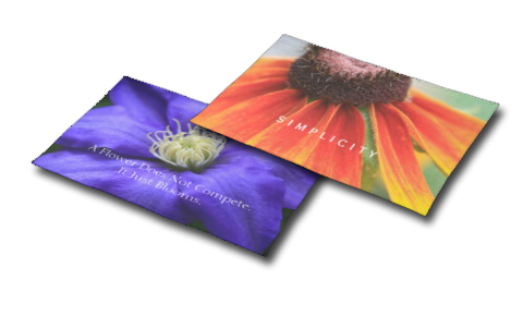 Place Mats Inspired by Nature