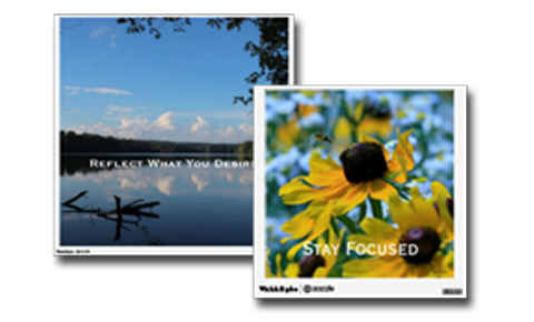 Nature Photo Removable Wall Decals 