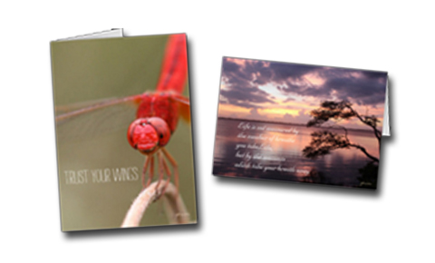Nature Note Cards 
